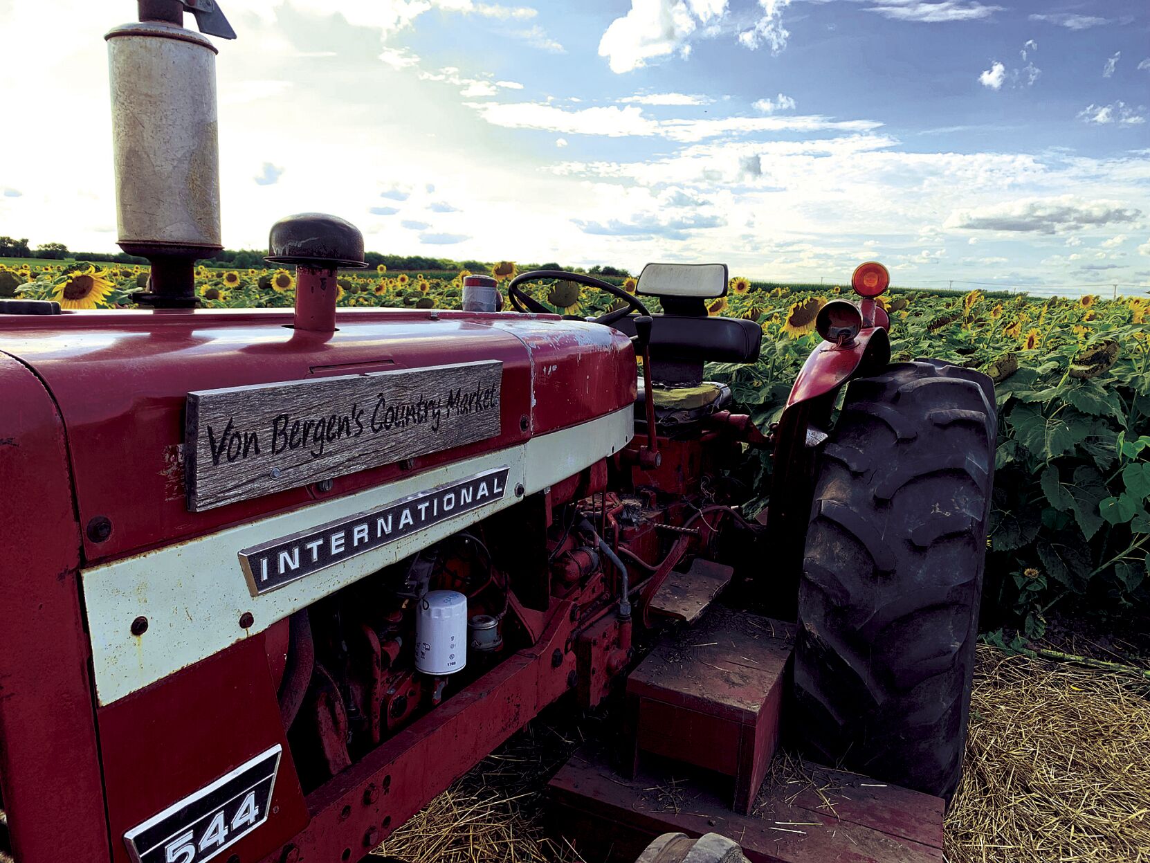 tractor among sunflowers